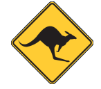 Adelaide Skippycoin ICG Adelaide Skippycoin ICG